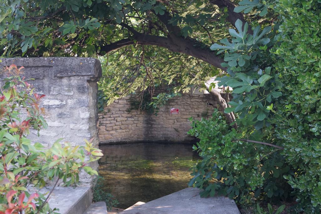 Colombe Διαμέρισμα LʼIsle-sur-la-Sorgue Εξωτερικό φωτογραφία